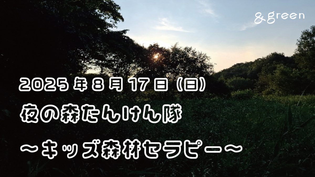 子どもと一緒に参加しよう！夜の森たんけん隊~キッズ森林セラピー